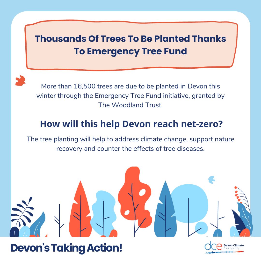 devonclimate's tweet image. Devon's taking action on climate change! 👏

soc.devon.cc/EmergencyTreeF…

#DevonActs #NetZeroDevon #NatureRecovery @DevonCC @WoodlandTrust