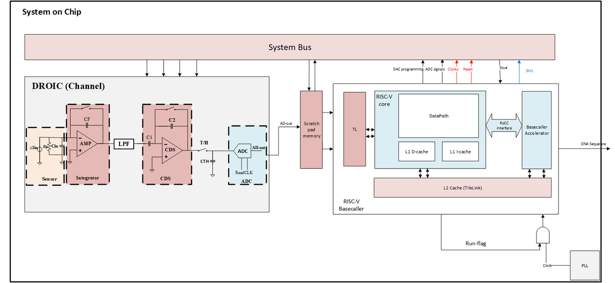 matthewvenn's tweet image. #OpenSourceASIChighlight: MPW8 mixed-signal submission on low-power / scalable SoC for 3rd gen nanopore-based DNA sequencing from York Univ, testing the digital readout and bioinfo processing units to measure pico-amp scale currents. #ASIC

github.com/EMIL-YORKU/Sen…