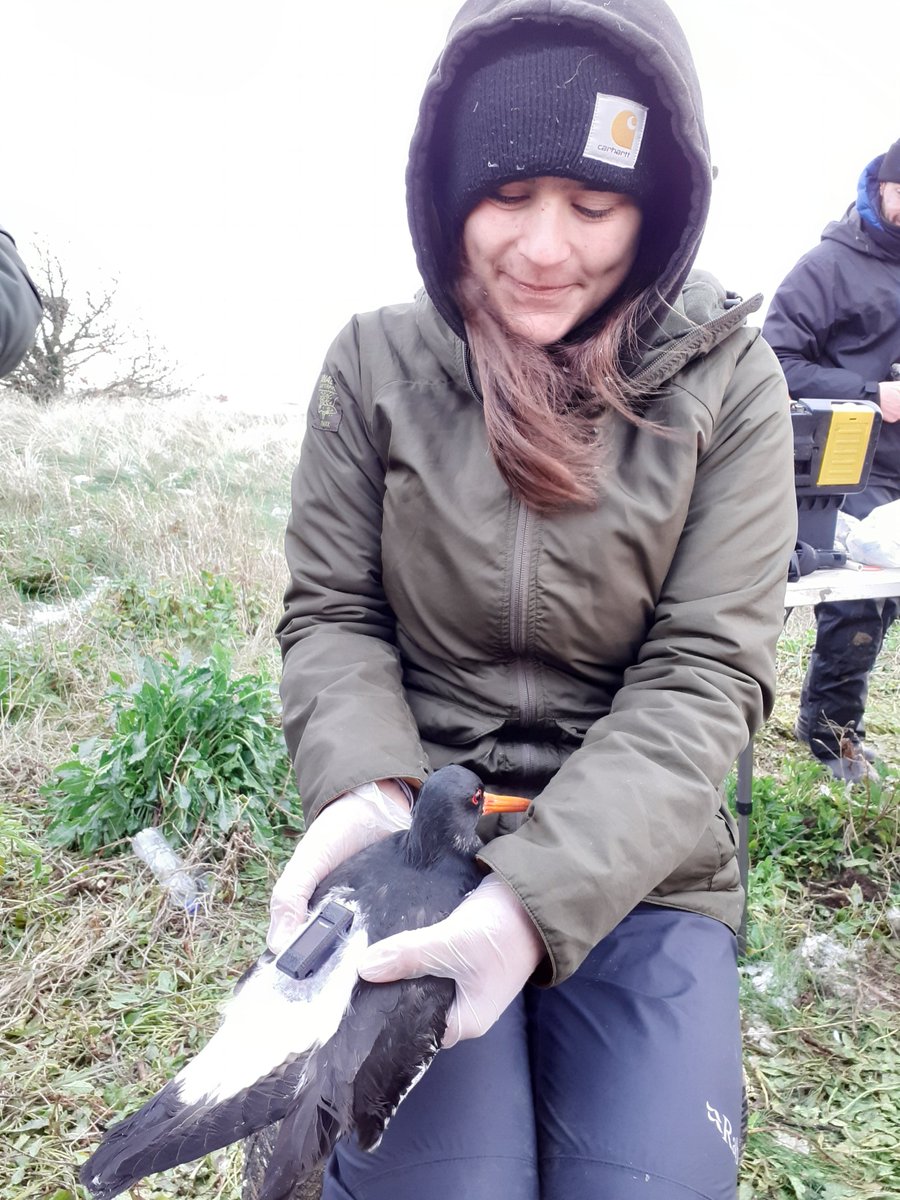 Steph Trapp tweet media