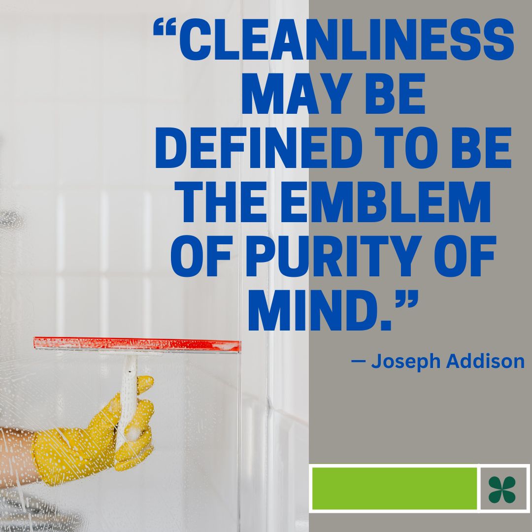 Quotes of the day :

“Cleanliness may be defined to be the emblem of purity of mind.'

gomadss.com

#cleanliness #cleaningservicesinuae #cleaning
#kitchencleaning #housecleaning
#dubai #uae #abudhabi #watertankcleaningservice #cleaningservices