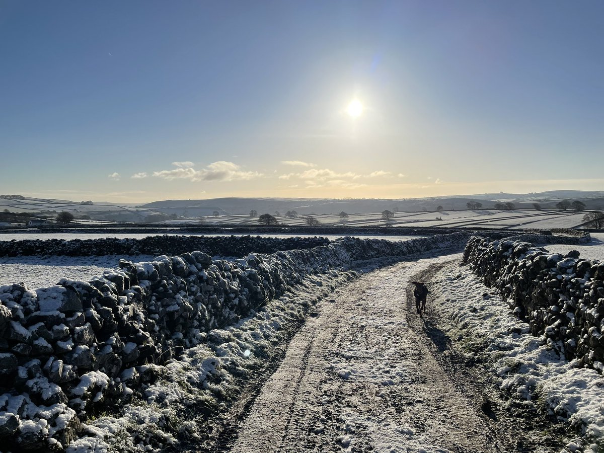 Simon Cookson tweet media