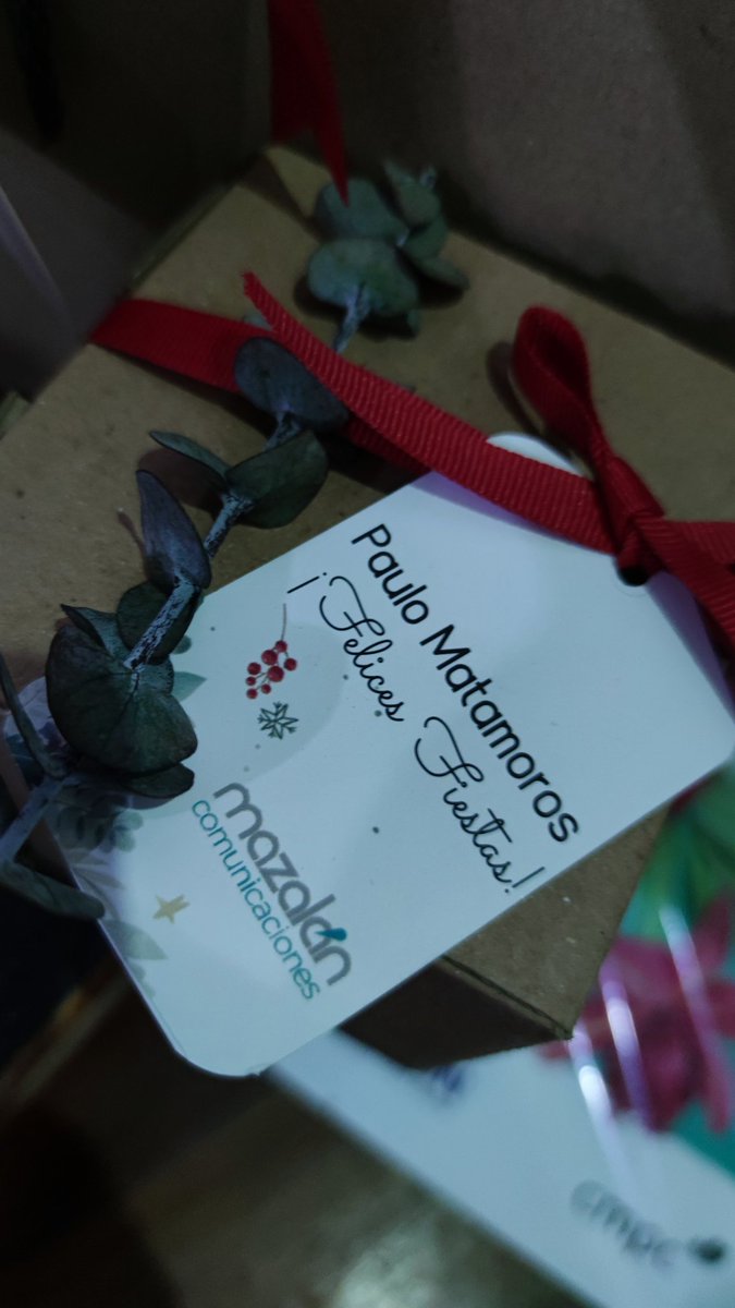 Webs_yMas's tweet image. Gracias a @EpsonLatin y @MazalanComunica porque estos detalles tan especiales #FelizNavidad