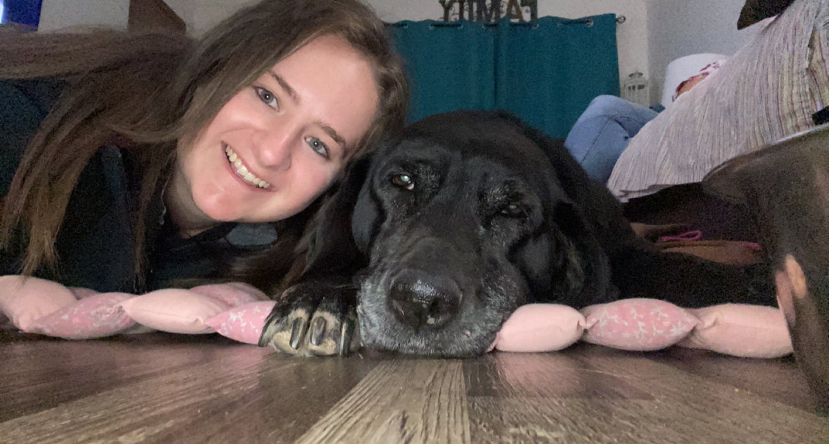 Ash94Ley's tweet photo. @pulte My notifications are always always always on! ✅ We could really use some help right now. We are having to put our dog down this afternoon that we’ve had for 14 years. Our hearts are all broken. Anything you have would be so helpful. $AshleyBroshear https://t.co/mBBaVswd9L