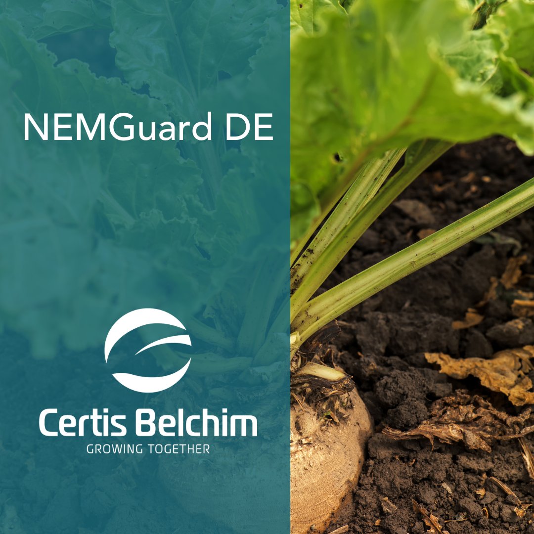 certis_belchim's tweet photo. With no MRL and effectively no PHI, #NEMGuard DE is an ideal fit for your residue reduction programmes.
It has a very low risk of resistance developing due to its mode of action into anti-resistance programmes. To learn more visit ➡️https://t.co/tpNwKlOj9i #FarmingUK #farmer https://t.co/s8Ax1IZZYG