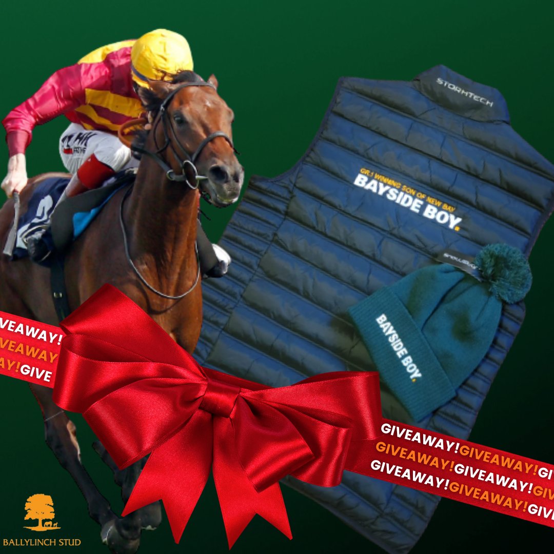 🐎𝐁𝐀𝐘𝐒𝐈𝐃𝐄 𝐁𝐎𝐘🐎
🌟G1 winning son of NEW BAY
🌟Top Class 2yo
🌟Explosive winner of the QEII <a href="/Ascot/">Ascot Racecourse</a> at 3

🎅🏼𝐂𝐡𝐫𝐢𝐬𝐭𝐦𝐚𝐬 𝐆𝐢𝐯𝐞𝐚𝐰𝐚𝐲!!🎁 
For a chance to win a limited Bayside Boy gilet &amp; beanie hat, make sure you are following <a href="/BallylinchStud/">BallylinchStud</a>,♥ &amp; 🔃this post