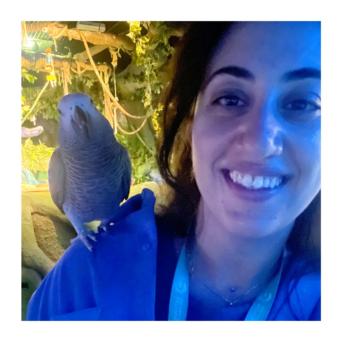 teamLMTD's tweet photo. This is our Clauda! An Account Manager and Strategist, Clauda is a bit of a jack of all trades and then a master of some too! Great with clients, probably due to her amiable nature, she loves the outdoors and is particularly interested in diving and wildlife. #TeamLMTD https://t.co/iTcMmYq7pF