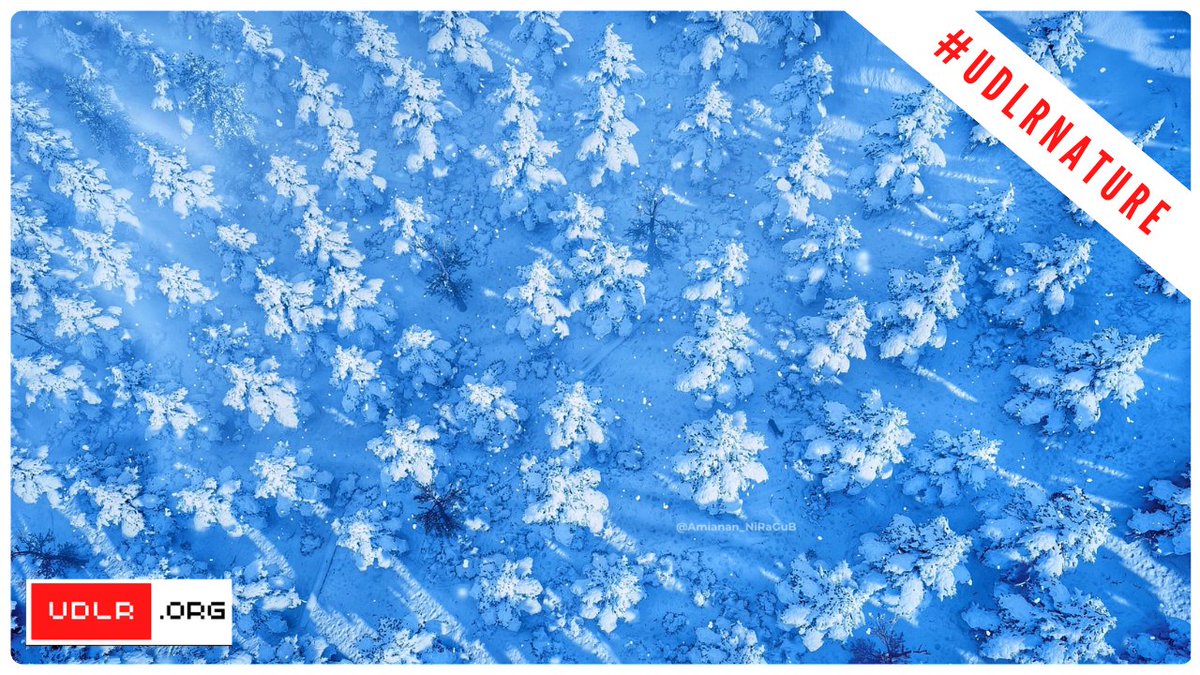 UDLRorg's tweet photo. ๐บOur FIRST EVER VIDEO MONTAGE of your shots for the weekly themes (#UDLRNature) is now LIVE on our brand spanking new Youtube channel!
Please consider subbing, liking + leaving a comment! Thank you for your support! ๐ฅฐ
๐บ https://t.co/kzCufamPAGโฌ
๏ธโฌ
๏ธโฌ
๏ธโฌ
๏ธ
#VirtualPhotography ๐ธ https://t.co/Ue9ASFNPSz