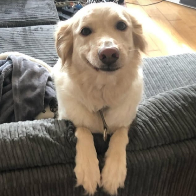 SpawnCamped irl (@spawncampedirl) on Twitter photo 