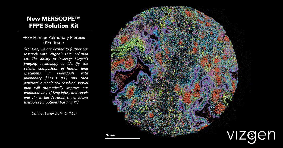 vizgen_inc's tweet photo. 👂Did you hear our news last week? #ICYMI, we launched the new #MERSCOPE #FFPE Sample Prep Solution! Your lab can now generate beautiful #MERFISH #DataImage like this one of FFPE Human Pulmonary Fibrosis Tissue by @NeBanovich's lab at @TGen. Learn more: https://t.co/6ehGFYTS9s https://t.co/0B76EGjsri