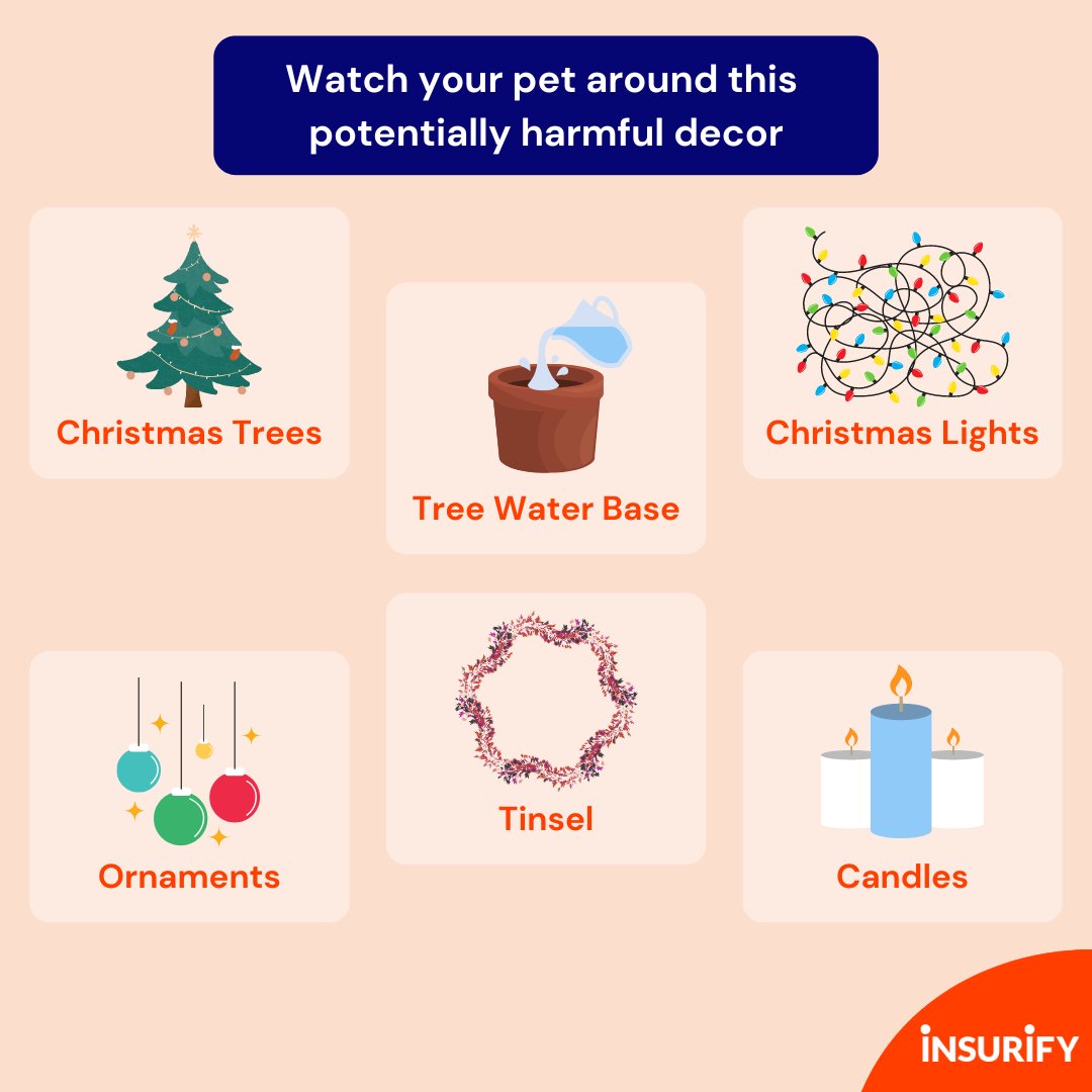 🎁🐶🐱 Whether you're traveling or staying home for the holidays, we know keeping your furry friends safe is at the top of your list! Keep these 29 Holiday Pet Safety Tips in mind to protect your pet around the holidays: bit.ly/3v6E8YZ #pets #holidays #dogmom #catmom