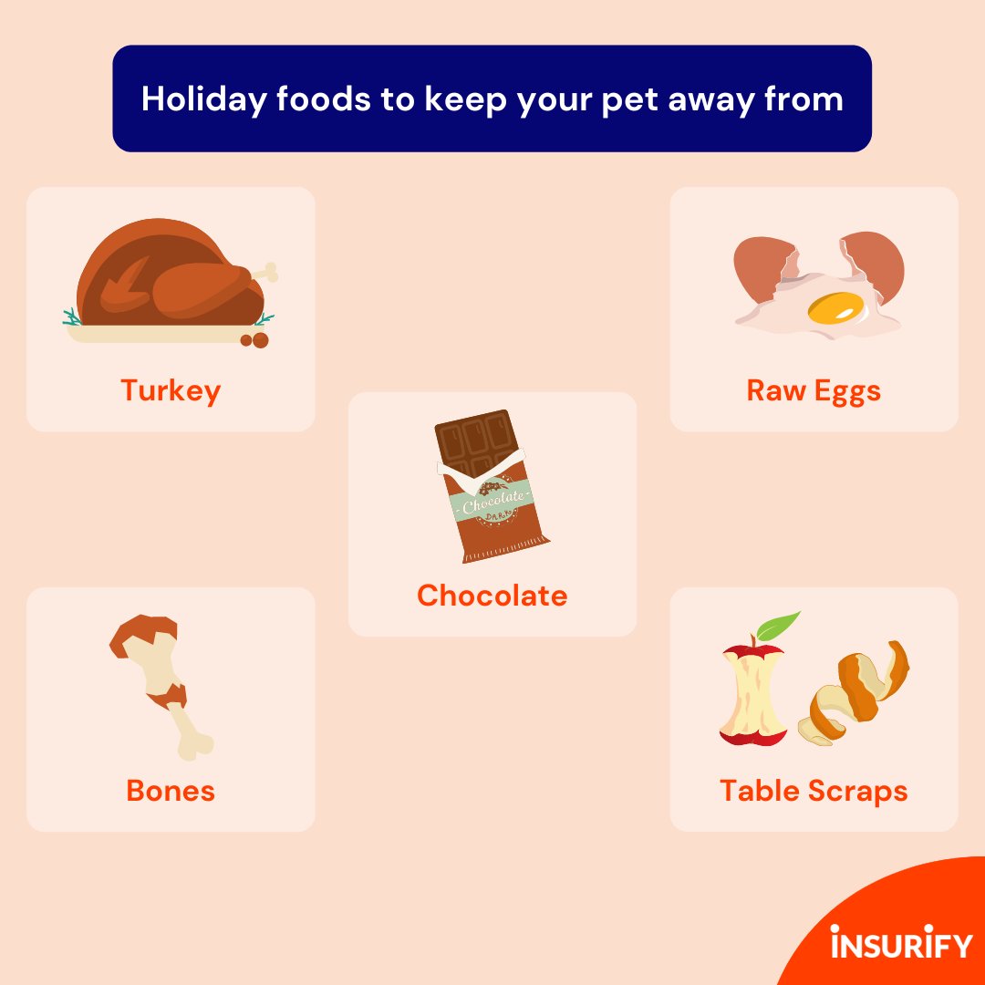 insurify tweet media