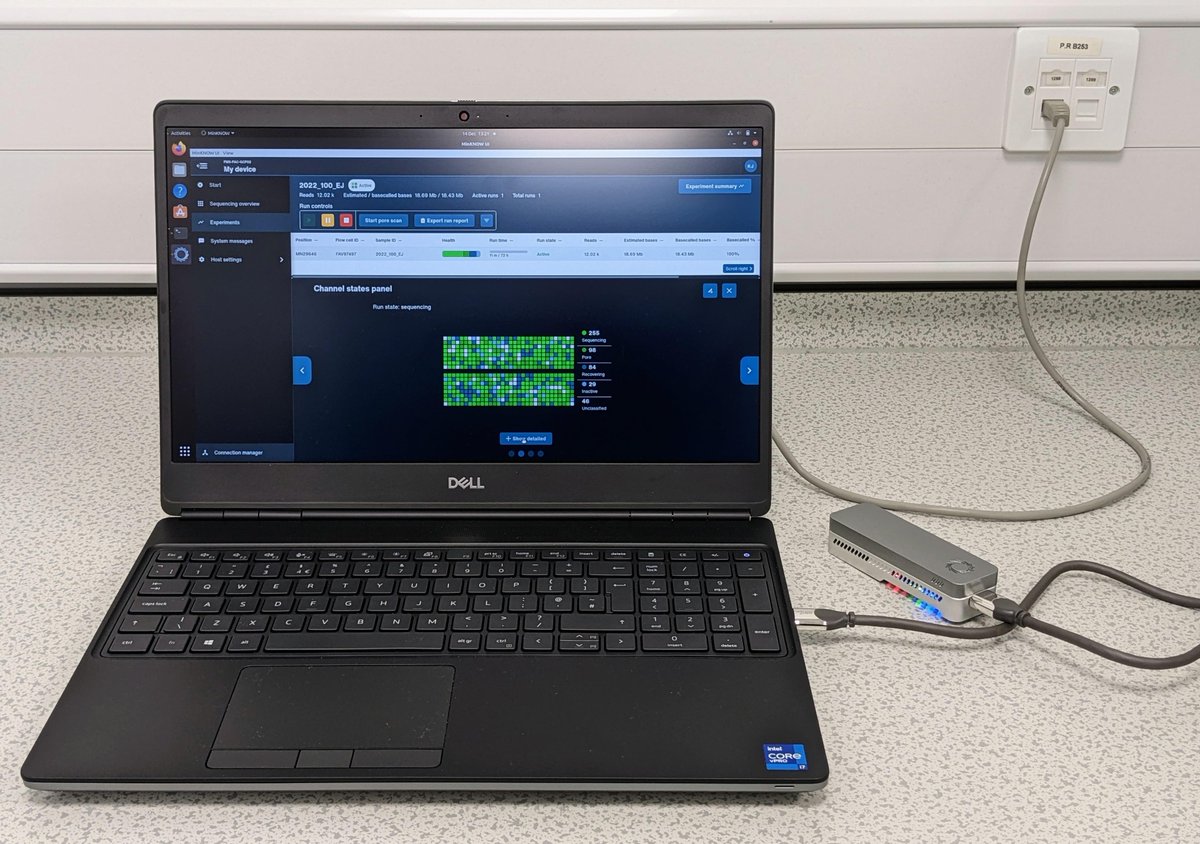 Newcastle GCF (@ncl_gcf) on Twitter photo Our final <a href="/nanopore/">Oxford Nanopore</a> MinION run of 2022 (roll on 2023)
😀🧬🧬💻 V14 + R10.4.1
Great work Katherine! Our final <a href="/nanopore/">Oxford Nanopore</a> MinION run of 2022 (roll on 2023)
😀🧬🧬💻 V14 + R10.4.1
Great work Katherine!