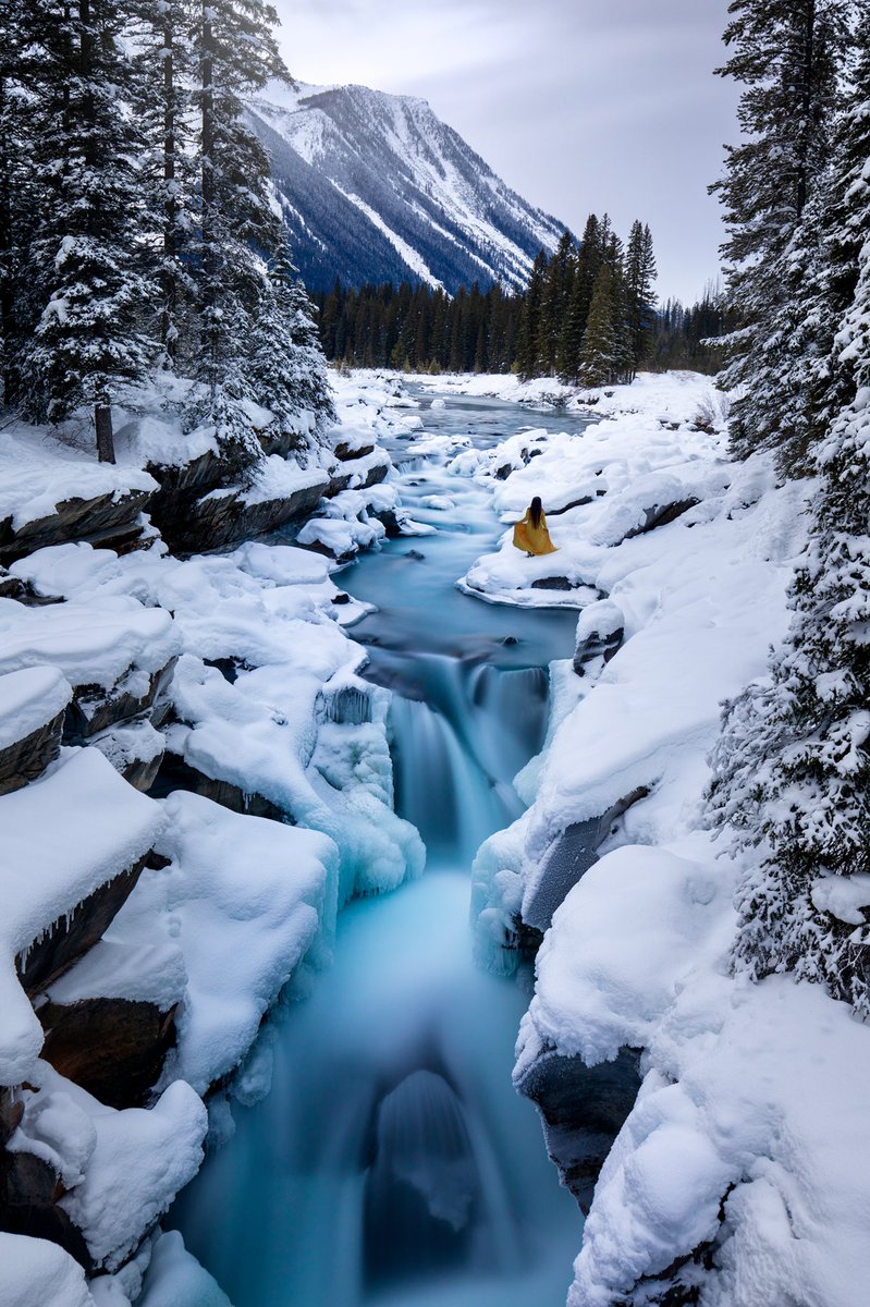 Gm 💛 What did the banana say when it answered the phone? Yellow