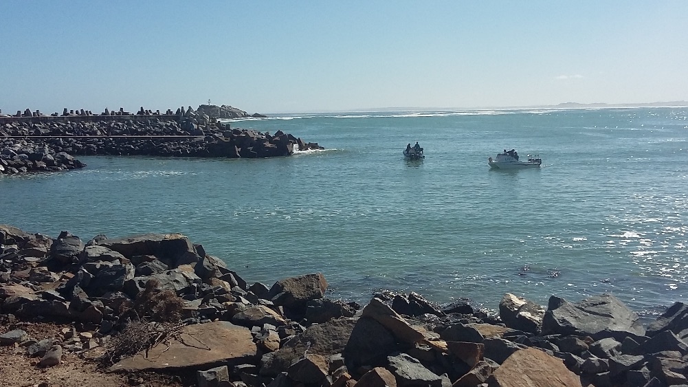 I 💜 Weskus Newsletter - mailchi.mp/1a292d2e3627/i…

Click on Facebook Page Newsletter tab to subscribe.

PHOTO: Antoinette Terblanche