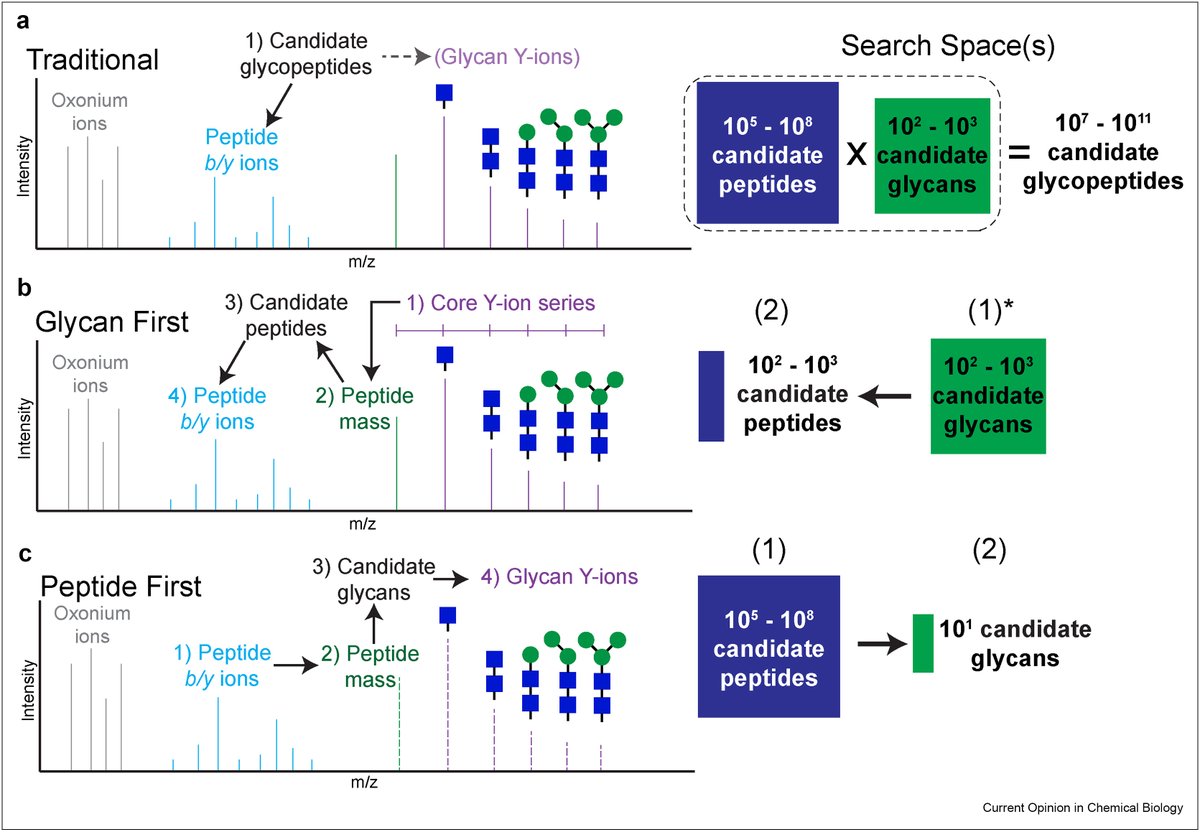 Alexey Nesvizhskii (@nesvilab) on Twitter photo Check out our new review "Recent advances in computational algorithms and software for large-scale glycoproteomics" led by <a href="/DanPolasky/">Dan Polasky</a>. We discuss various strategies, new algorithms, and outstanding challenges, including validation of glycan assignments. sciencedirect.com/science/articl… Check out our new review "Recent advances in computational algorithms and software for large-scale glycoproteomics" led by <a href="/DanPolasky/">Dan Polasky</a>. We discuss various strategies, new algorithms, and outstanding challenges, including validation of glycan assignments. sciencedirect.com/science/articl…