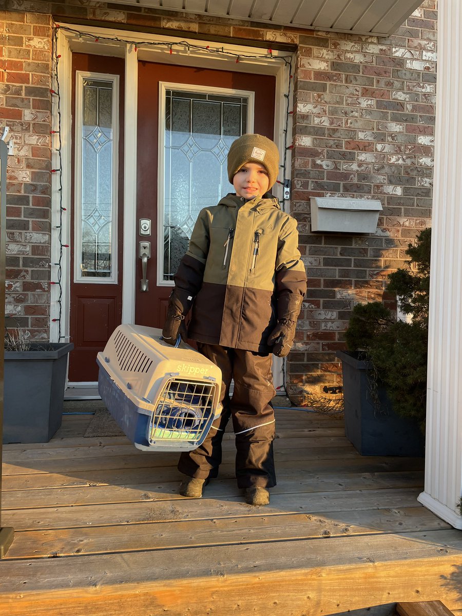 MrsTriderHRCE's tweet image. Anything But a Backpack Day is the best Spirit Day ever! @CRES_HRCE #kittycarrier