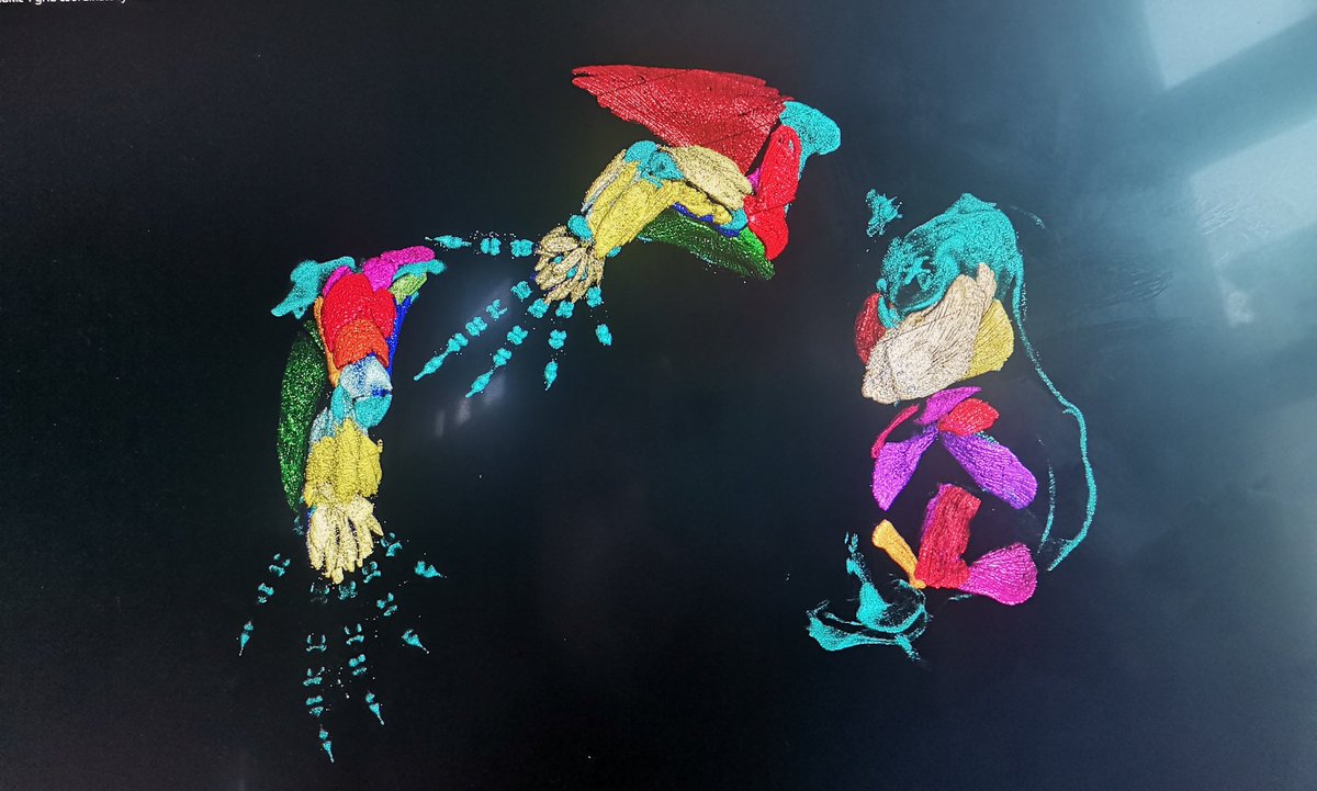 Sceloporus clarkii embryo progress 😍✨😍🦎