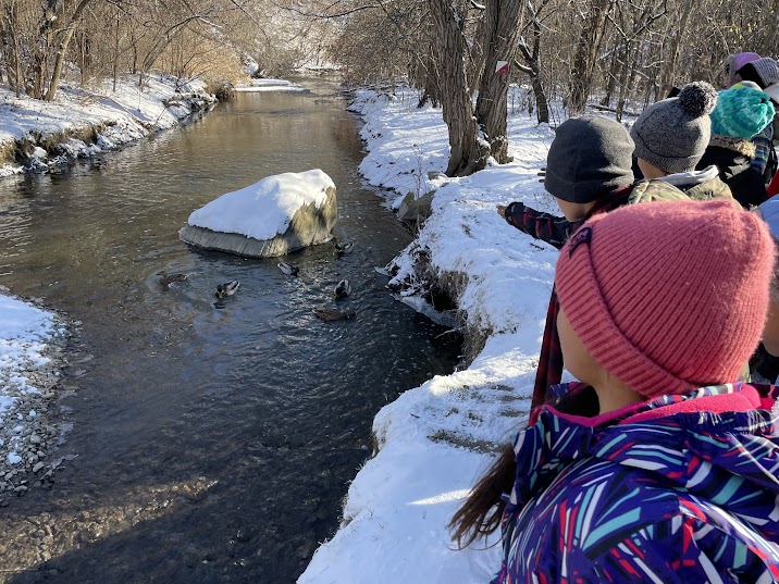 ph_butler's tweet photo. Ss had fun @ForestValleyOEC learning about habitats, testing water in the Don, trying cedar tea+maple candy &amp;walking in the trees. On a appris beaucoup, testé l'eau dans le Don,goûté du thé au cèdre+des bonbons à l'érable et promené dans les arbres @TDSB_Grenoble https://t.co/O6U9f7q009