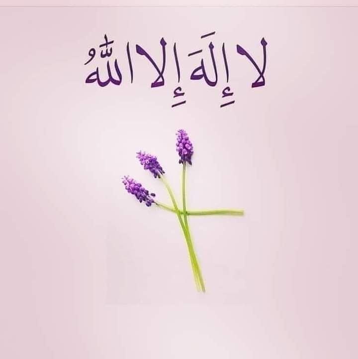 "Ben" diye başlamayı hak ettiğim tek cümle şudur; 

" Ben şahitlik ederim ki, Allah'tan başka ilâh yoktur"..
🐦