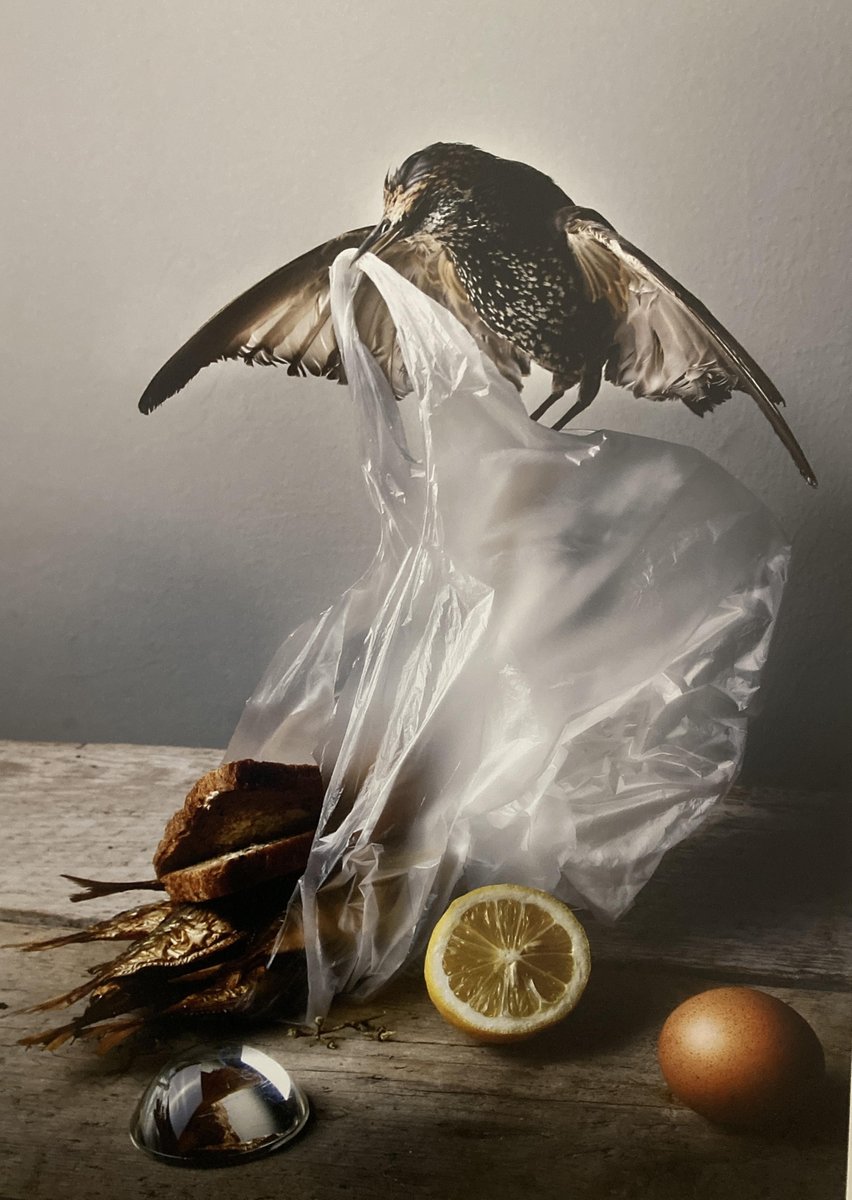 Aanrader voor de kerstvakantie gewoongroen.net/2022/12/tenmin…