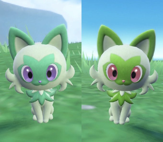 小物トレー　にゃ！にゃにゃ！ニャオハ！　色違い 小物トレー にゃ！にゃにゃ！ニャオハ！ 色違い 小物トレー にゃ！にゃ