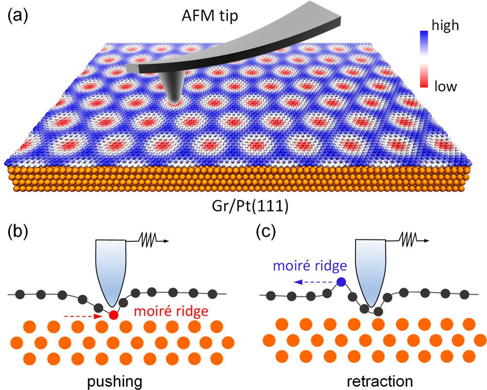 New article on velocity dependence of friction on moiré superstructures of graphene by <a href="/Yiming_SONG_/">Yiming Song</a> <a href="/xianggao3064/">Xiang Gao</a>, Oded Hod, Michael Urbakh, <a href="/ErnstMeyer4132/">Ernst Meyer</a>, et al. <a href="/UniBasel_en/">University of Basel</a> <a href="/TelAvivUni/">Tel Aviv University</a>
Read it here 👉 go.acs.org/39g