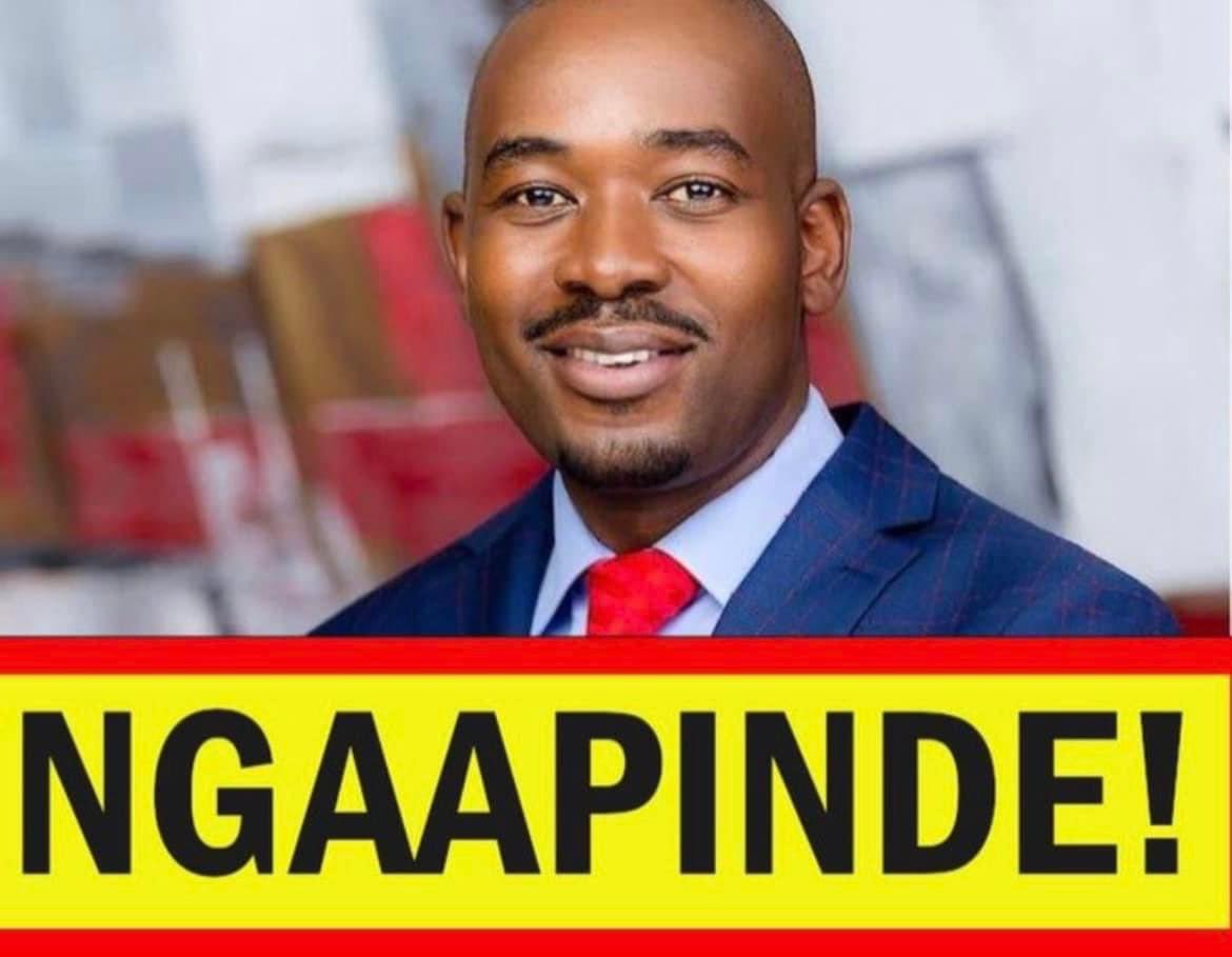 Fadzayi Mahere🇿🇼 (@advocatemahere) on Twitter photo 