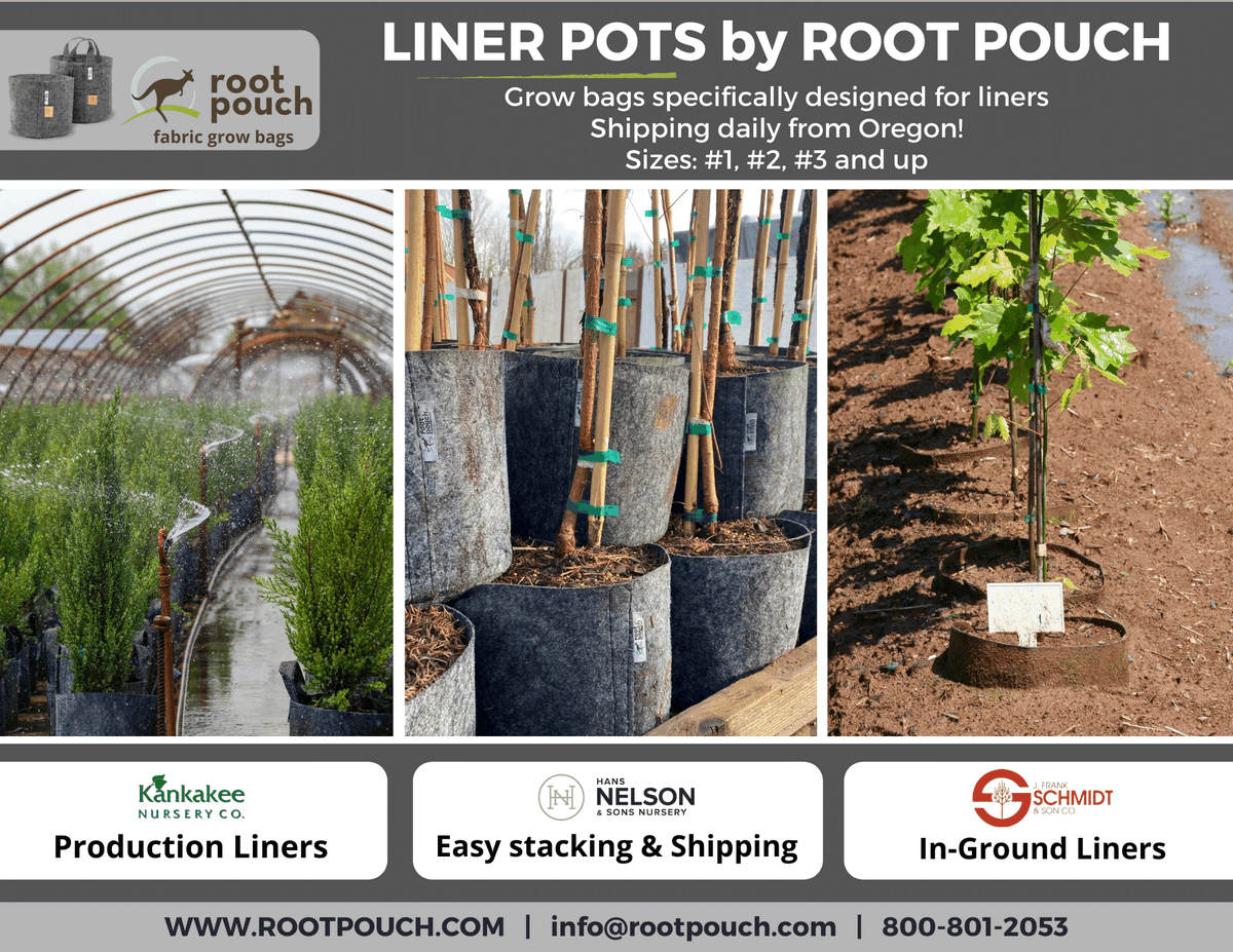 RootPouch's tweet image. Looking to place your planting pot order? Root Pouch has the liner pots you need! 

Call 503-439-0306 or info@rootpouch.com to receive pricing and availability. 

#nursery #landscape #trees #greenhouse