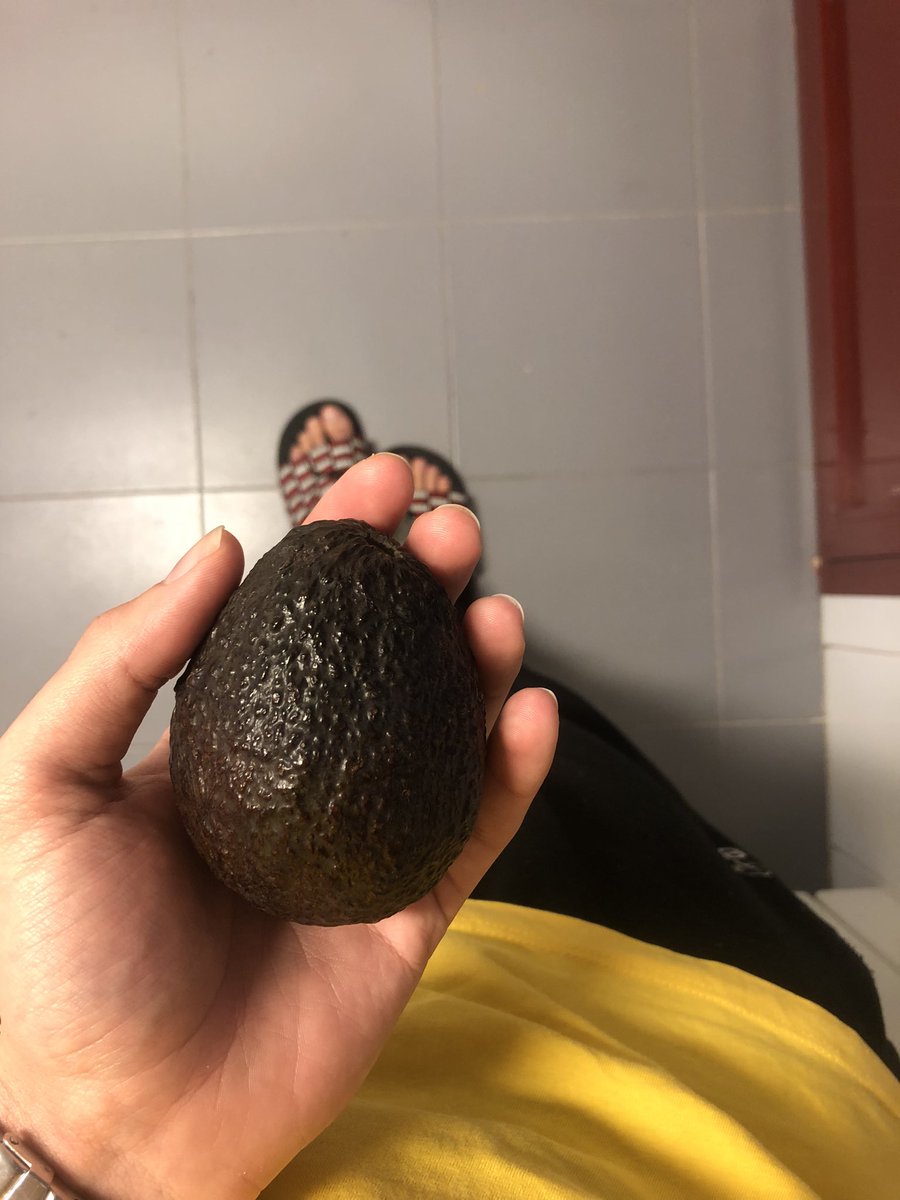 TheFilmStripper's tweet photo. Todo en el extranjero es mejor que en Cuba. 
Los aguacates en el extranjero: https://t.co/jt0b96TgKg