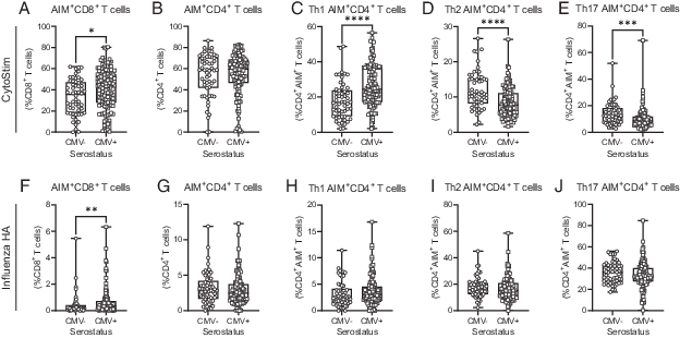 J_Immunol's tweet photo. #AuthorChoice: #CMV seropositivity in older adults changes the #Tcell repertoire, but does not prevent #antibody or cellular responses to #SARSCoV2 #vaccination from @MsMacrophage @McMasterU #FreetoRead #ReadTheJI #immunology #COVID19 https://t.co/sQQbe2g0HI https://t.co/607Y49fkUS