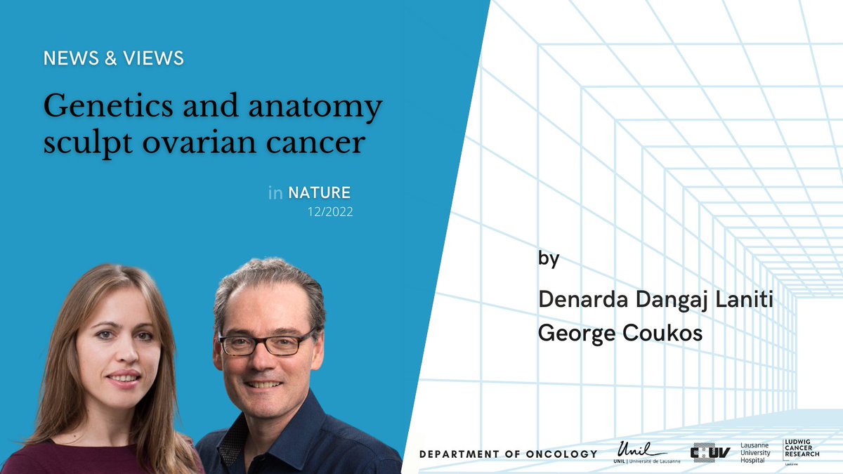 Just out in @NatureNV, @CoukosGeorge and Denarda Dangaj Laniti consider how data that reveal cellular, molecular and mutational landscape, as ovarian cancer tumours grow and spread, might aid efforts to develop new targeted therapies. @unil @chuv @Ludwig_Cancer