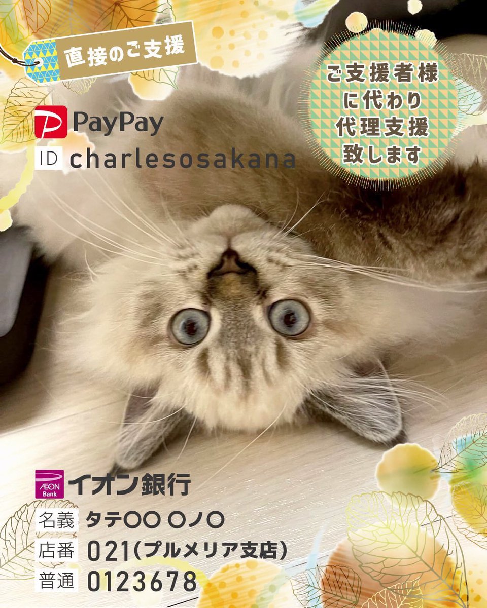 【🆘📢シャルル君FIP #クラファン 12/16迄⚠️】
#拡散希望 ‼️ #最後まで諦めません

⚠️目標達成しないとご支援が届きません⚠️
🆘残り4️⃣8️⃣時間で達成率8️⃣6️⃣％、カウントダウン始まっています。お薬を頑張ったシャルル君に最後まで応援とご協力をお願いします🙇
readyfor.jp/projects/osaka……
🌱直接ご支援⬇️