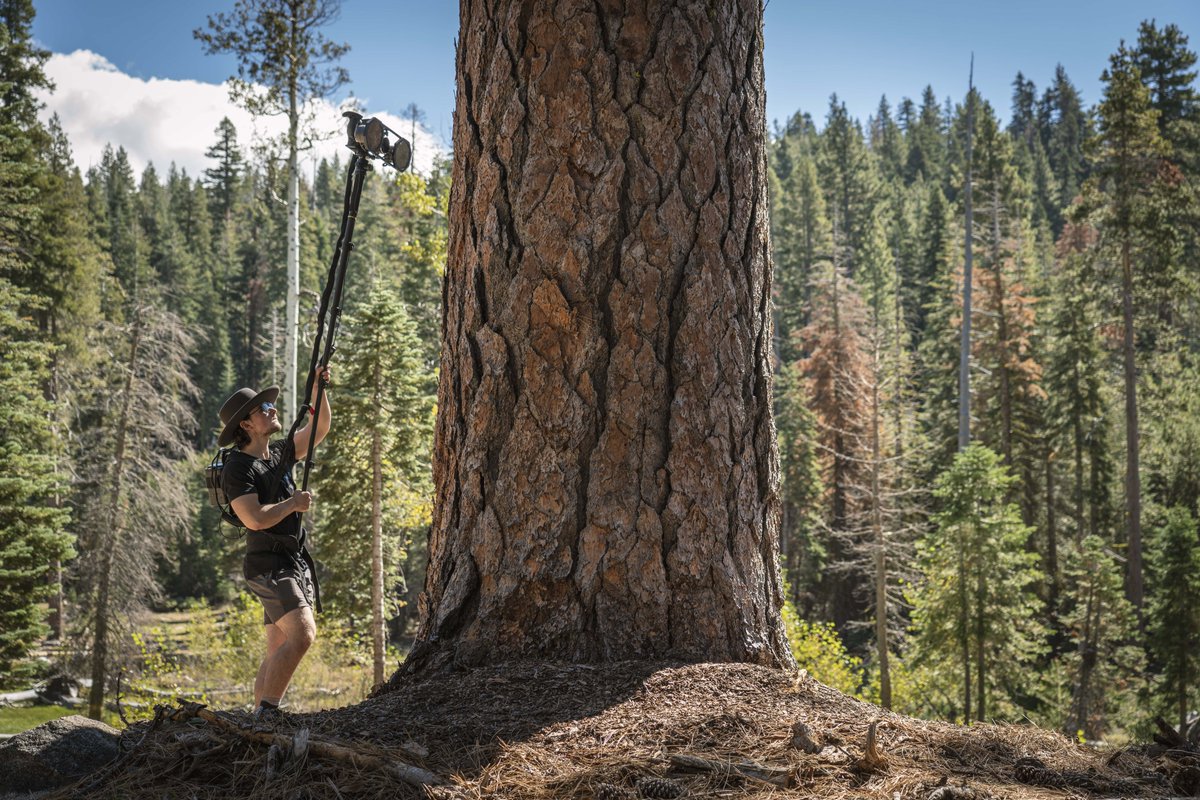Quixel on Twitter "Behind the Scans from Sierra Nevada, USA 📷 Our