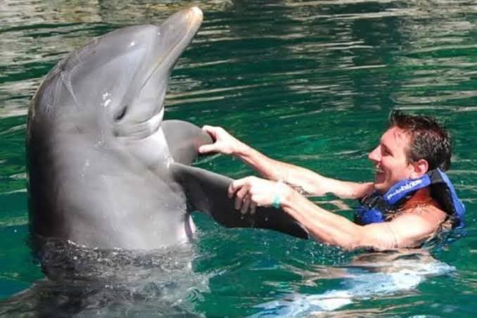 COMO VAS A ODIAR A ESTE TIPO?