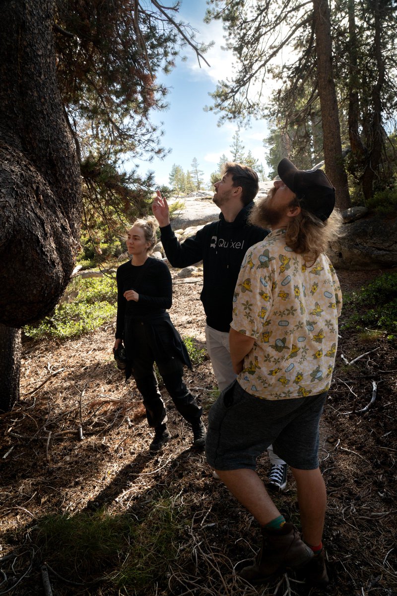 quixeltools's tweet photo. Our team scanned a wide range of assets including small rocks, larger rock formations, surfaces, vegetation, and foliage, and also two very unique species of pine trees.
We can’t wait to show you where we go next!
#Quixel #Megascans #EpicGames #BehindTheScans #Photogrammetry https://t.co/x6OUOWMW7g