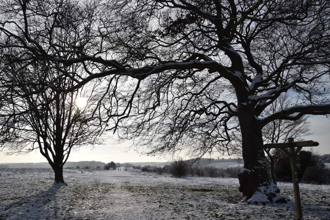 garywatson8763's tweet image. Farthing downs coulsdon cold but beautiful in the snow #farthingdowns #citycommons #snow #coulsdon #winter