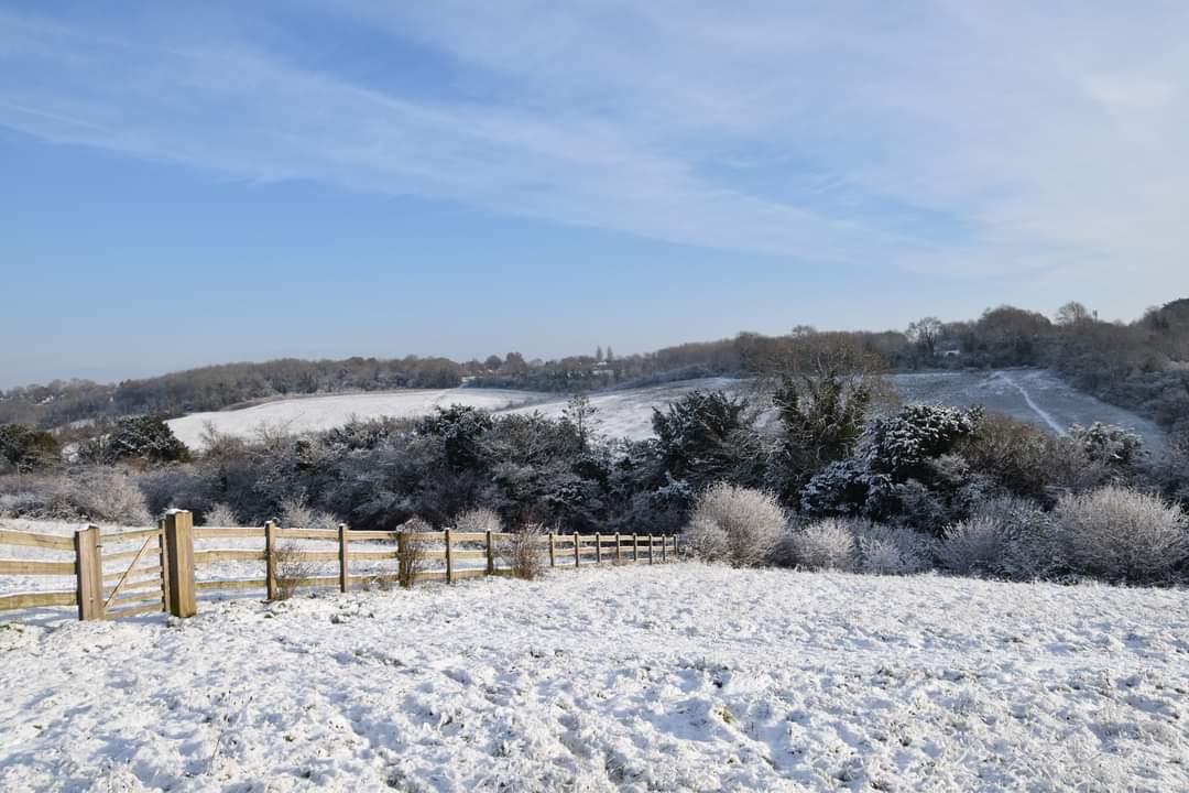 garywatson8763's tweet image. Farthing downs coulsdon cold but beautiful in the snow #farthingdowns #citycommons #snow #coulsdon #winter