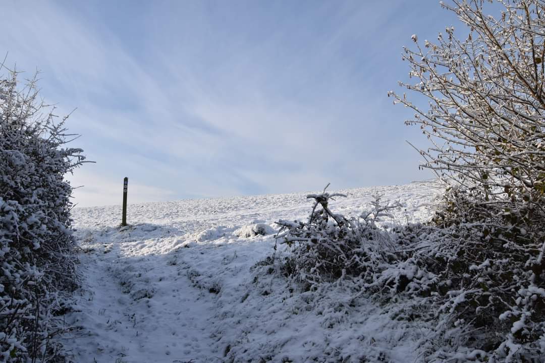 Farthing downs coulsdon cold but beautiful in the snow #farthingdowns #citycommons #snow #coulsdon #winter