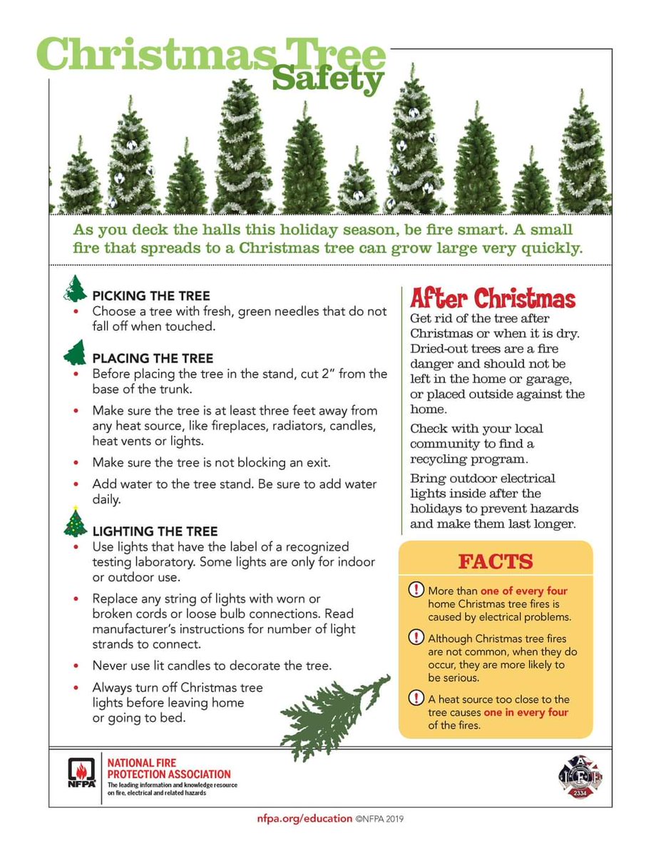 Some reminders on Christmas tree safety to help make your holidays safer. 🎄