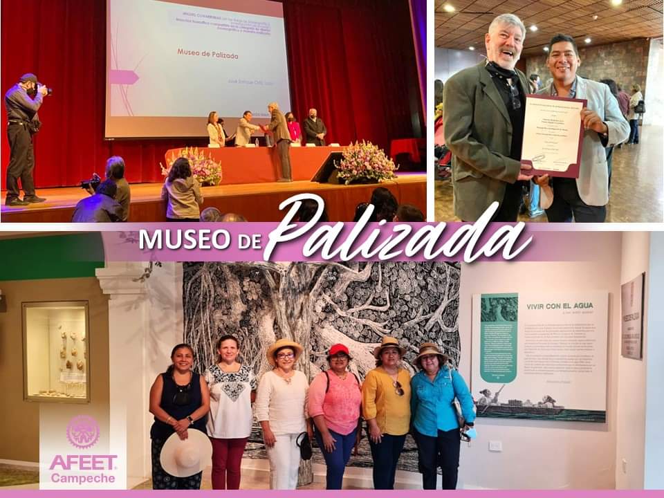 Felicitamos al #MuseoDePalizada x la mención honorífica obtenida en la categoría Diseño Museográfico y muestra realizada, en los #PremiosINAH #2022, igual a todos quienes formaron parte de este gran logro en #Palizada y a quienes contribuyen a conservarlo.

#TodasSomosAFEET