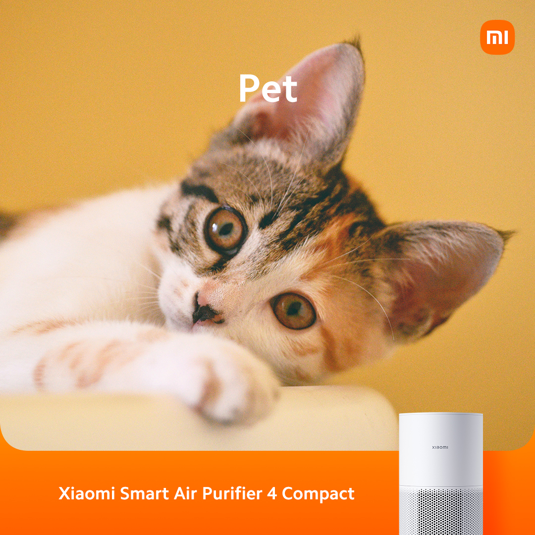 XiaomiUSA's tweet photo. #AirPurifier4Compact take care of allergy-sensitive individuals. 💪
Filter out allergens such as pollen, dust mites, pet hair, dander.
#Xiaomi #XiaomiNorthAmerica #BetterWithXiaomi https://t.co/xWkKCiC3rM