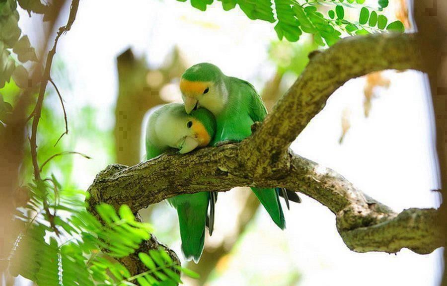 <a href="/Nivea__mc/">Ňishak💙Breezy｡✫˚ ⁀➷✽҉ ღ✶</a> Good morning dear 💙😇