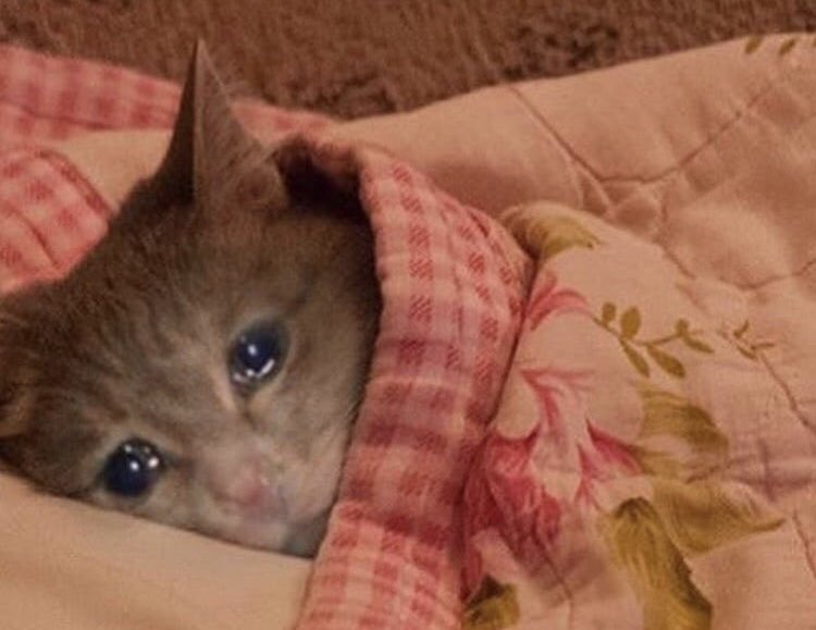 เมื่อดูฝากใจจบและนึกได้ว่าคาเซฮายะไม่มีจริง