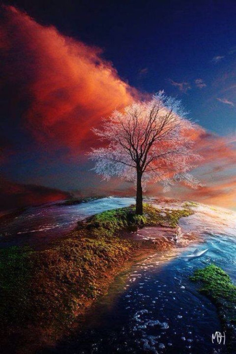 #NatureBeauty