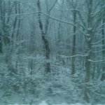 ツイートに含まれる画像