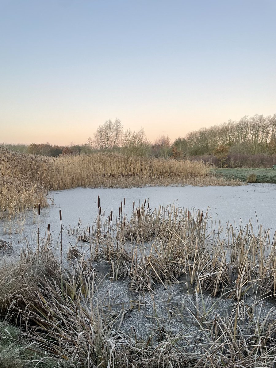 Becky Falder tweet media