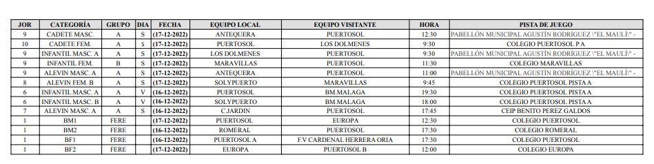 Balonmano Puertosol tweet media