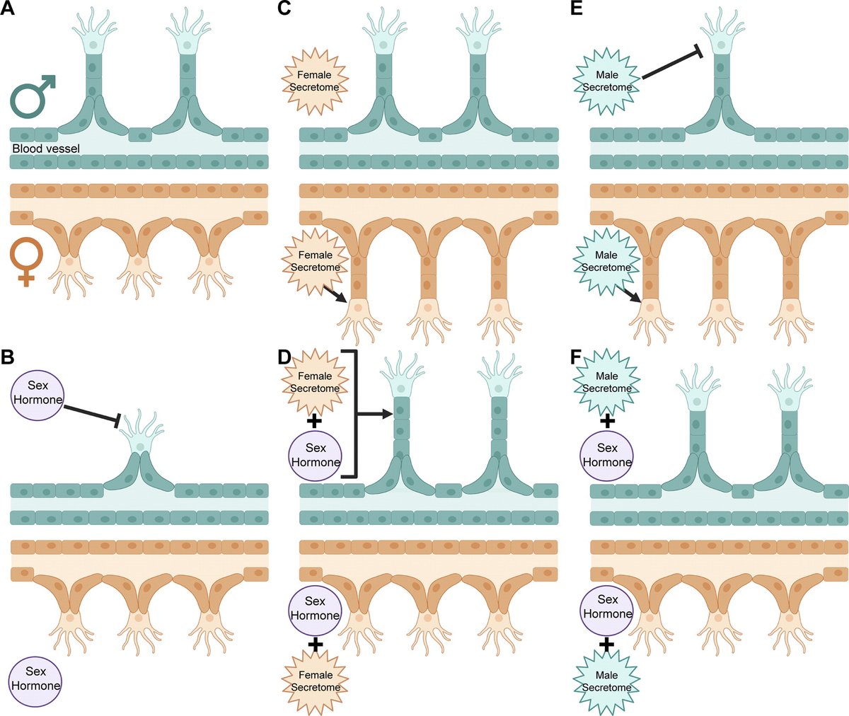 APS Publications tweet media
