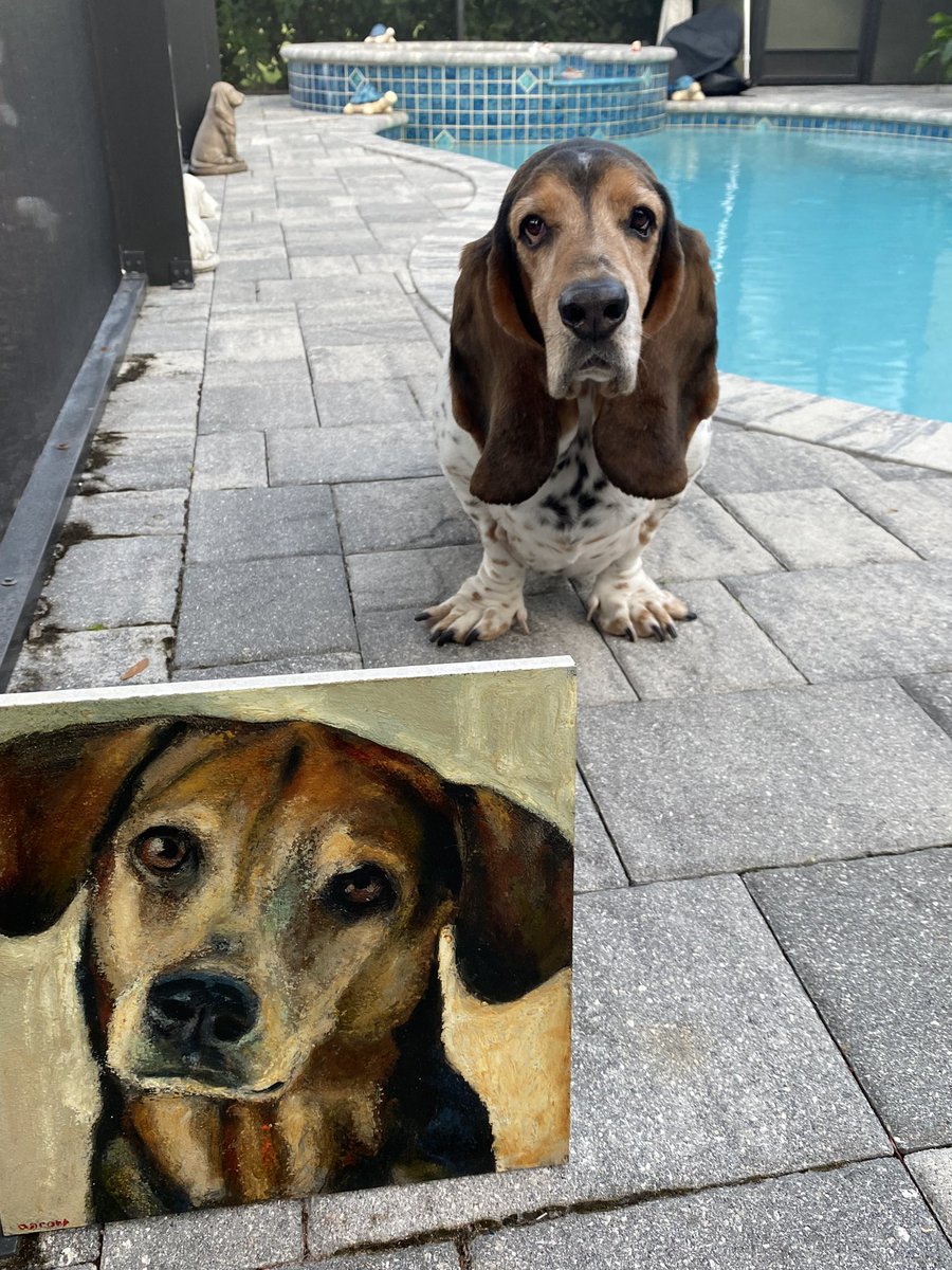 FloppyEars17's tweet photo. “Ship” is home with Ernie! Please give one of these dogs a home Check out  @AnActofDog Money will help @HSNaples You won’t regret your decision in remembering a life❤️🐾🌹
https://t.co/ha76kfbGC0
#dogart #humanesocietynaples  #shelterdogs #dogrescue #markbarone #anactofdog https://t.co/es25JpEfrC