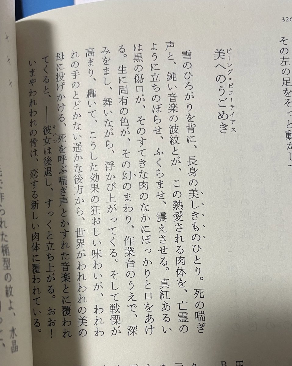 Mrchnk Brown Fat Cat Twitter